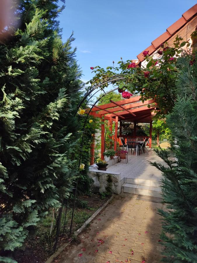 Robitel Wellness Vendeghaz Veszprem-Gyulafiratot Hotel Exterior photo